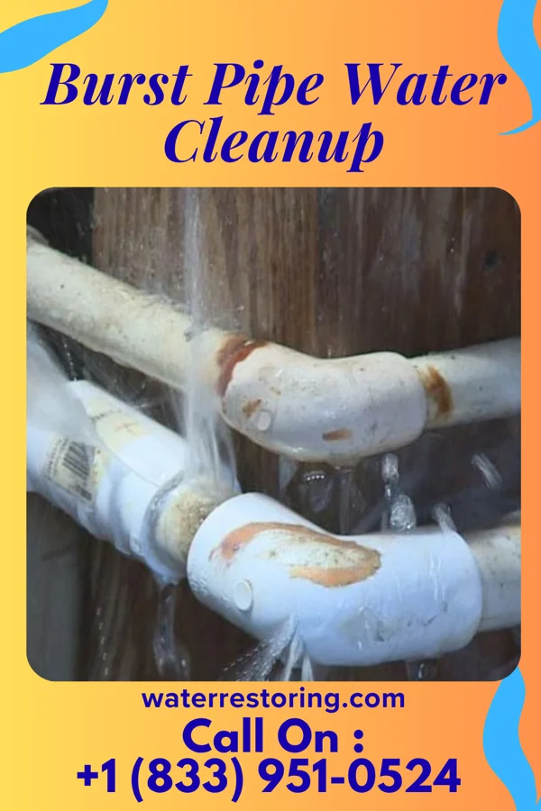 Burst Pipe Water Cleanup in Towanda, PA