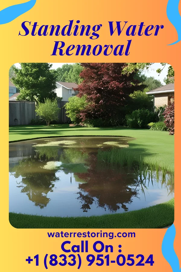 Standing Water Removal in Towanda, PA
